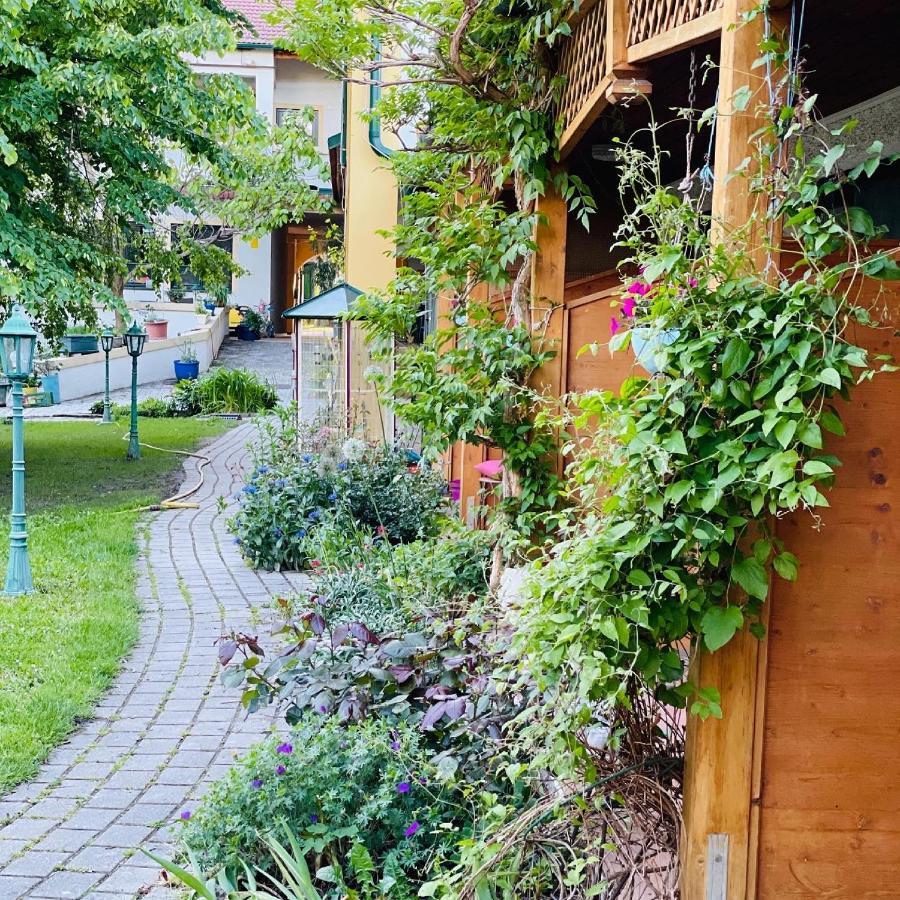 Pension Gartner Wallern im Burgenland Экстерьер фото